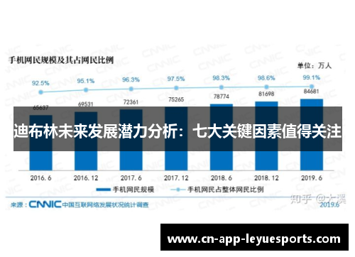 迪布林未来发展潜力分析:七大关键因素值得关注 迪布林未来发展潜力分析:七大关键因素值得关注
